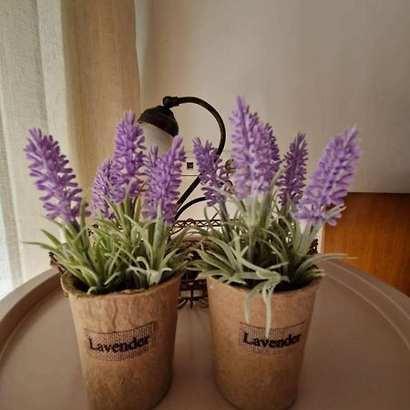 Levanda House PalaiónTsiflíkion 外观 照片