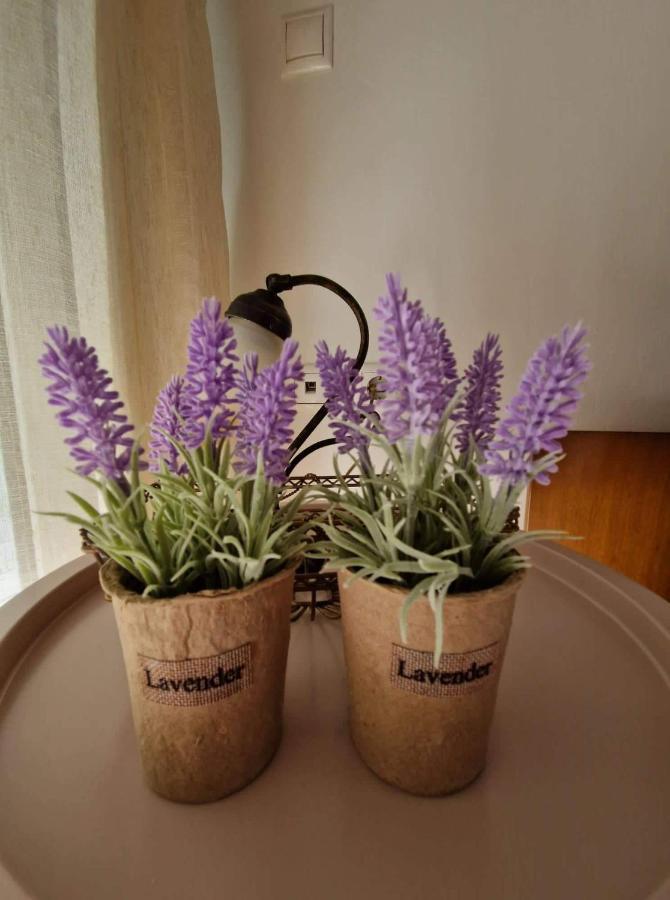 Levanda House PalaiónTsiflíkion 外观 照片
